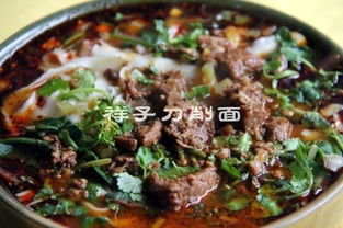 寶雞美食美客餐飲管理圖冊 系統(tǒng)化運(yùn)營的藝術(shù)